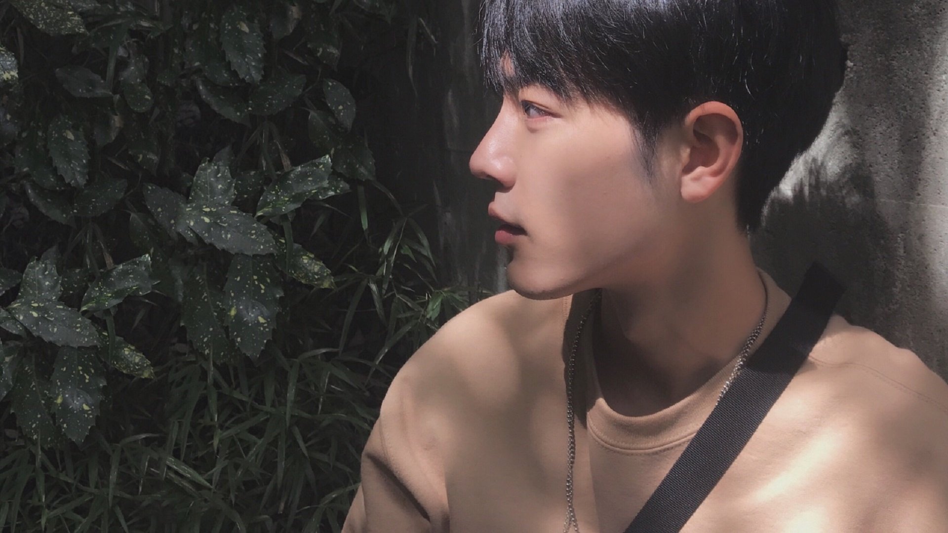 冠军选手动作细节对比，冠军人选