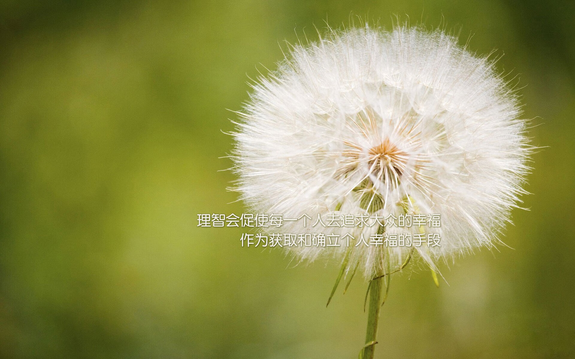 德国队对战国际乒联混合团体世界杯:赛制的关键作用,国际乒联德国公开赛